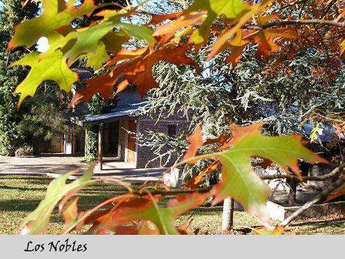 Inn Nobles De Bosque